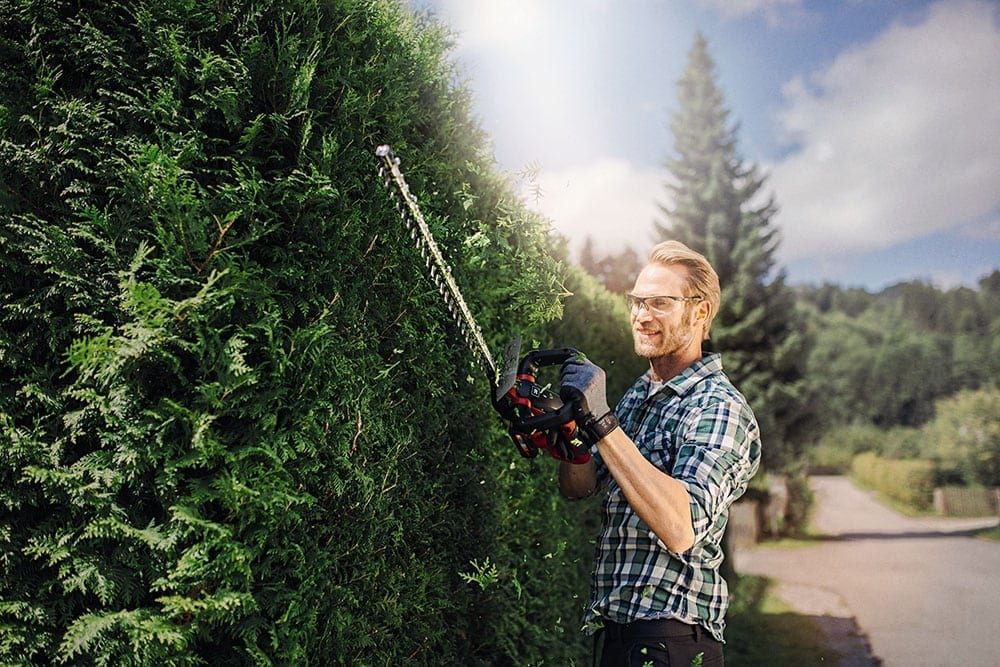 EINHELL aku škare za živicu GE-CH 1846 Li PXC 18V 2,0Ah - Image 10