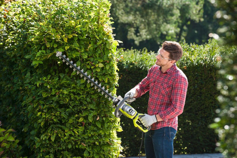 RYOBI električne škare za živicu RHT8165RL - Image 3
