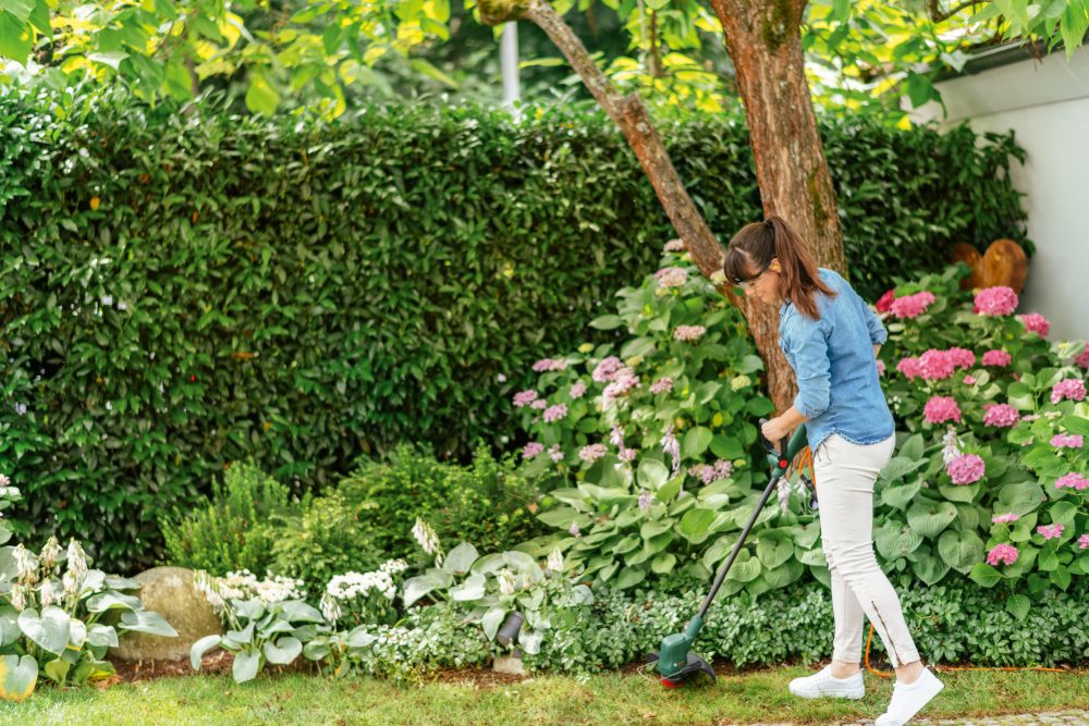 BOSCH električni trimer za travu EasyGrassCut 23 - Image 2