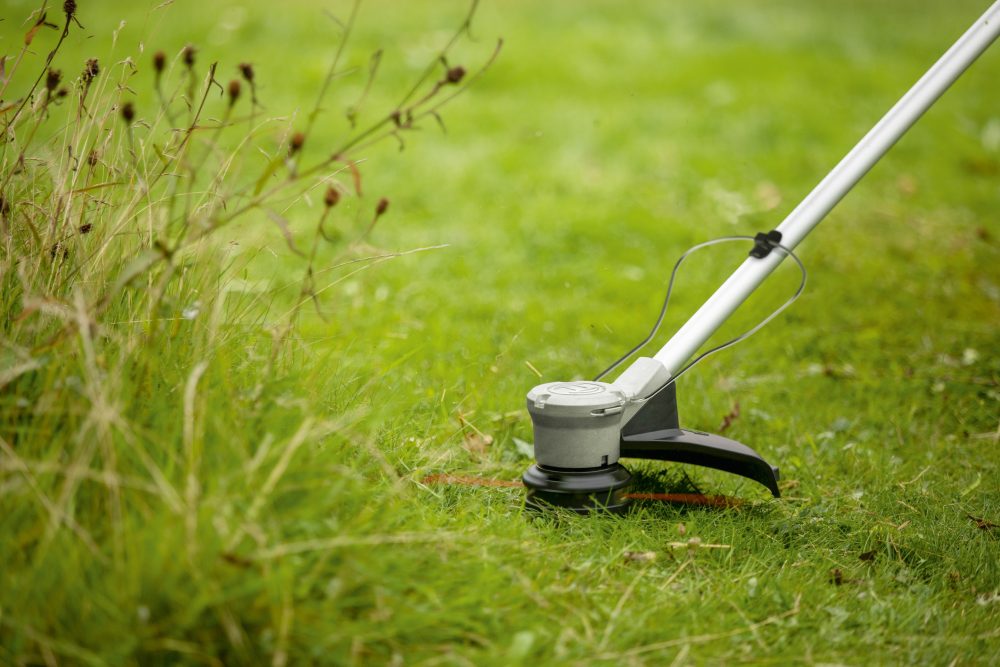 BOSCH aku trimer za travu AdvancedGrassCut 36V-33 36V 2,0Ah - Image 4