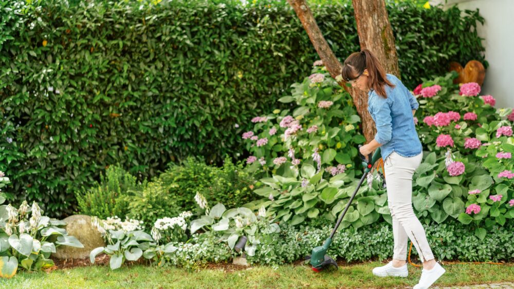 BOSCH aku trimer za travu EasyGrassCut 18V-26 18V+ aku set 18V 2,5Ah - Image 4