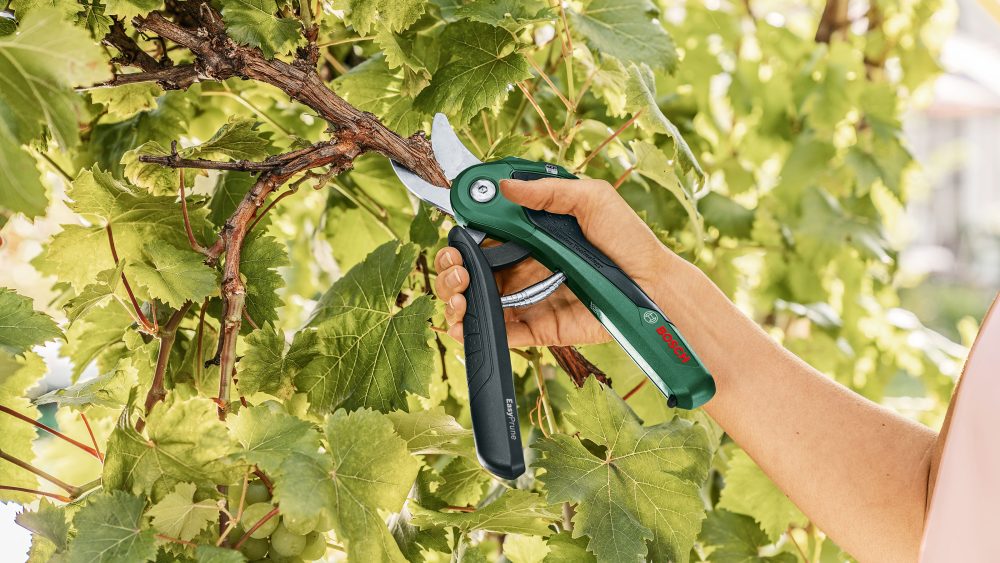 BOSCH aku škare za grane EasyPrune - Image 4