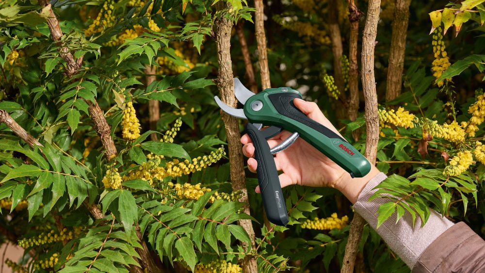 BOSCH aku škare za grane EasyPrune - Image 8