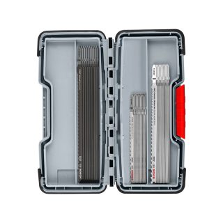 BOSCH set listova ubodne pile za drvo/metal/plastika 100 mm, 1 kom