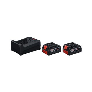 BOSCH aku set PRO GBA 2xAku 18V 5,0Ah + GAL 12V/18V-80 Professional